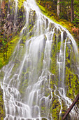 'Proxy Falls In Willamette National Forest; Oregon, United States of America'