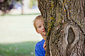 'A Boy Hiding Behind A Tree In A Park; Edmonton, Alberta, Canada'