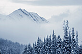 Kananaskis Country In Winter, Peter Lougheed Provincial Park, Alberta, Canada