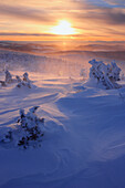 View Of Snow-Covered Trees And Blowing Snow From Mont Logan At Sunrise, Quebec, Canada