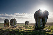 'Sunlight Shining On The Standing Stones Of Duddo; Northumberland, England'