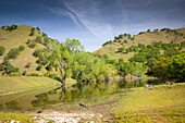 'Hills Small Lake And Trees In Sutter Buttes; Sutter, California United States of America'