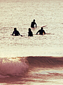 'Out In The Ocean With Surfboards; Tarifa, Cadiz, Andalusia, Spain'