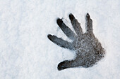 'Handprint In Snow; Thunder Bay, Ontario, Canada'