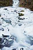 'Ice covered creek in columbia river gorge national scenic area;Oregon united states of america'