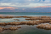 'Dead sea at dusk;Moab israel'