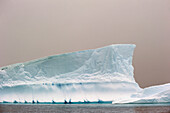 'Iceberg;Antarctica'