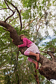 'A girl hanging from a tree branch;Gold coast queensland australia'