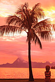 'Sunset over moorea from sofitel maeva beach resort near papeete;Tahiti nui society islands french polynesia south pacific'