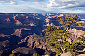 'Grand canyon;Arizona united states of america'