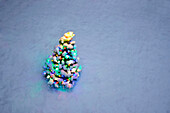 Overhead View Of A Small Lit Christmas Tree At Twilight In Winter