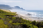 'Fog along the oregon coastline;Oregon united states of america'