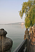 'A tree and ornate balusters on a railing on the water's edge;Beijing china'
