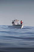 'Fishing boat in cape cod bay; cape cod massachusetts united states of america'