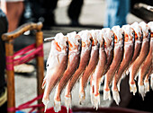 'Fish hanging on display at a fish market;Busan south korea'