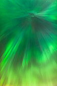 'The green northern lights corona in the sky above the tony knowles coastal trail in winter at nighttime;Anchorage alaska united states of america'