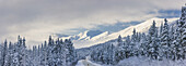 Clouds Clearing Over Seward Highway From The Kenai Mountains Above Turnagain Pass After A Winter Snow Storm, Fresh Snow In The Trees, Early Morning Sun, Turnagain Pass, Chugach National Forest, Southcentral Alaska, Usa.