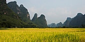 Landscape of rugged mountain peaks and a crop in a field