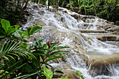 'Dunn's River Falls; Ocho Rios, Jamaica'