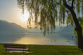 'Lake Maggiore At Sunset; Locarno, Ticino, Switzerland'