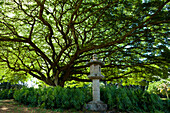 'Likiokalani Garden in Hilo Bay; Big Island, Hawaii, United States of America'