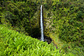 'Akaka falls; Big Island, Hawaii, United States of America'