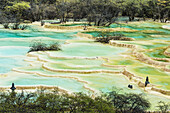 'Colourful pools formed by calcite deposits; Huanglong, Sichuan province, China'
