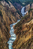 'Lower Yellowstone Falls, Yellowstone National Park; Wyoming, United States of America'