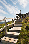 'Wooden steps leading up to Cape Spear lighthouse; St. John's, Newfoundland and Labrador, Canada'