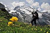 Walker in front of Doldenhorn, Bernese Alps, Switzerland