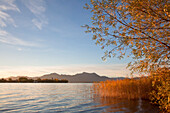 View over Chiemsee to Fraueninsel, near Gstadt, Chiemsee, Chiemgau region, Bavaria, Germany