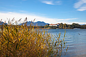 View over Chiemsee to the old Castle on Herreninsel, near Gstadt, Chiemsee, Chiemgau region, Bavaria, Germany