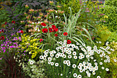 Flowers at the entrance of the manor house, Great Dixter Gardens, Northiam, East Sussex, Great Britain