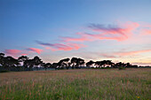 Landschaft bei Uckfield, Wealden, East Sussex, Großbritannien