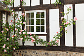 Flowers at a house, Rodmell, East Sussex, Great Britain