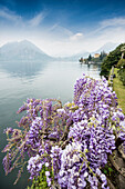 Park der Villa Monastero, Varenna, Comer See, Lago di Como, Provinz Lecco, Lombardei, Italien