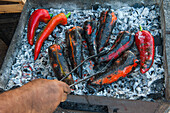 Barbecuing of paprika peppers at market stand, Syracuse, Sicily