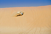 Allradfahrzeug fährt über Dünen, Abu Dhabi, Vereinigte Arabische Emirate