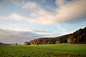 Landschaft im Herbst nahe Schloss Lichtenstein, Schwäbische Alb, Baden-Württemberg, Deutschland