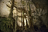 riesige Tropfsteine, Stalagmiten, in Karls- und Bärenhöhle, Sonnenbühl, Schwäbische Alb, Baden-Württemberg, Deutschland