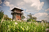 Reconstructed Roman watchtower at Limes in a dandelion and mixed fruit orchard, Lorch monastry, Swabian Alp, Baden-Wuerttemberg, Germany