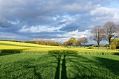 Naturpark Solling-Vogler, Dassel, Niedersachsen, Deutschland