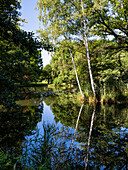 River in Spreewald, UNESCO biosphere reserve, Brandenburg, Germany, Europe