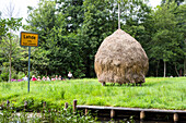 Hay stack in Spreewald, Spree, UNESCO biosphere reserve, Lehde, Luebbenau, Brandenburg, Germany, Europe