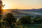 country residence and cypress trees at sunrise, near San Quirico d`Orcia, Val d`Orcia, province of Siena, Tuscany, Italy, UNESCO World Heritage