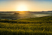 Landhaus und Zypressen bei Sonnenaufgang, bei San Quirico d'Orcia, Val d'Orcia, Provinz Siena, Toskana, Italien, UNESCO Welterbe
