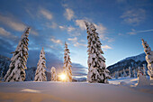 Winter scenery, Passo Monte Croce di Comelico, South Tyrol, Italy