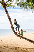 Mutter und Sohn klettern auf Kokospalme, Strand, Kleinkind, 3 Jahre alter Junge, Palme, Elternzeit in Asien, Europäer, Deutsche, Westler, Familie, MR, Sanur, Bali, Indonesien