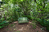 Grüne Parkbank in tropischen Wald, Pitcairn, Pitcairninseln, Britisches Überseegebiet, Südpazifik