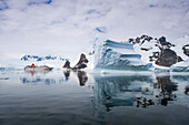 Expeditions-Kreuzfahrtschiff MS Hanseatic (Hapag-Lloyd Kreuzfahrten) vor Eisbergen und eisbedeckter Bergkulisse, Lemaire Kanal, nahe Grahamland, Antarktis
